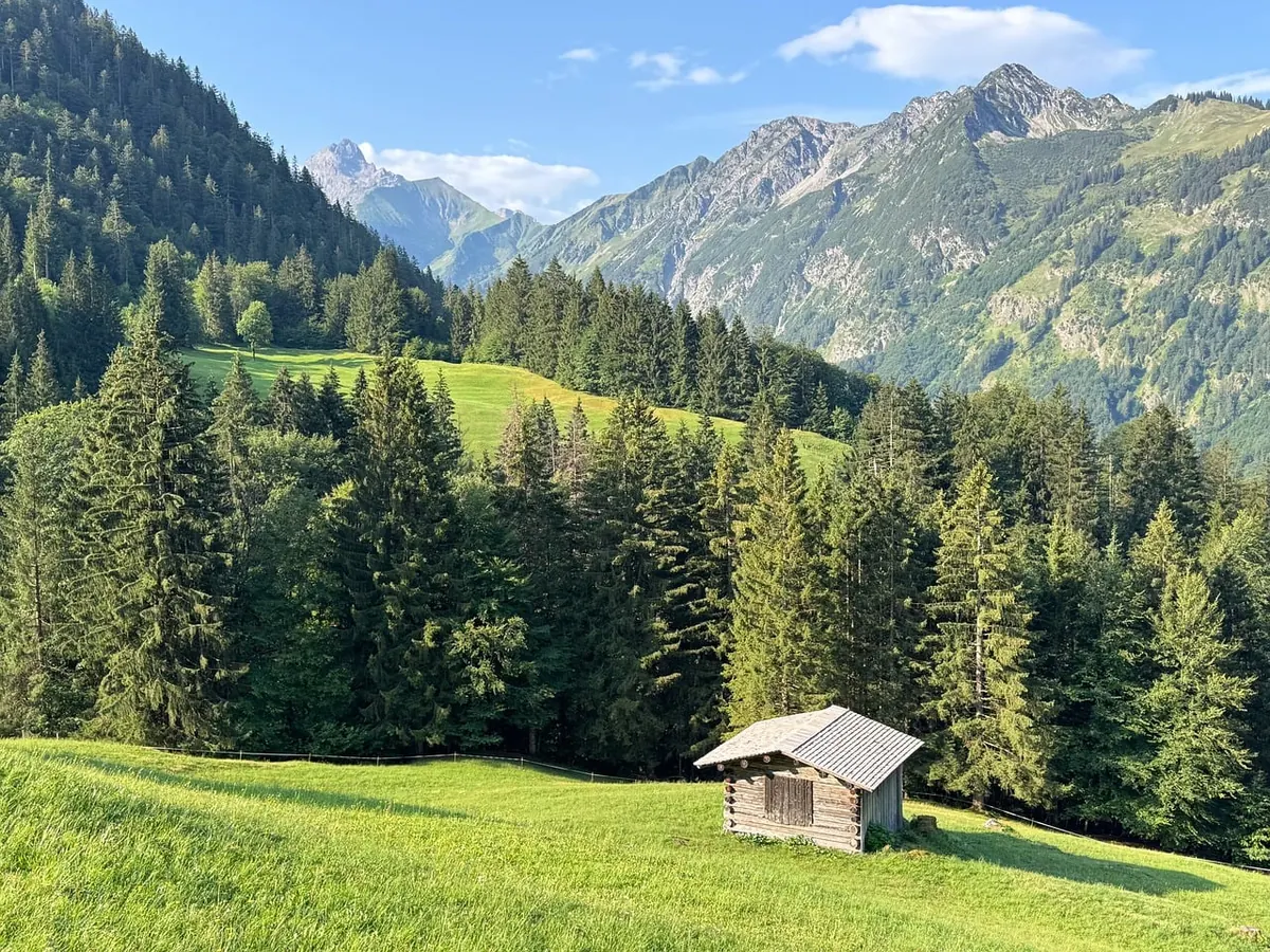 Offline Maps vs Paper Maps: Which Is Better for Remote Hiking?