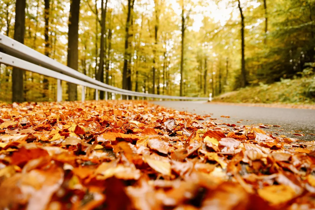 Where to See Autumn Colour in New England: A Month-by-Month Guide